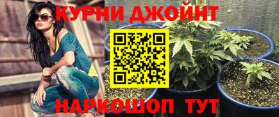 стаф Севастополь