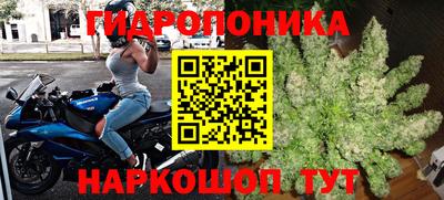 трава Свободный