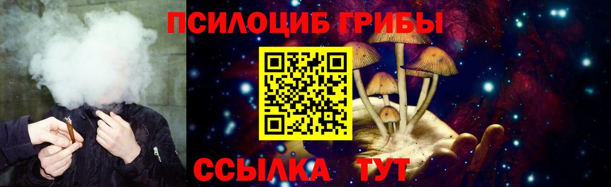 Галлюциногенные грибы Psilocybe  Псилоцибиновые грибы MAGIC MUSHROOMS  Ростов-на-Дону  Вход с VPN 